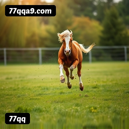 FAQ 77qq Brasil - Perguntas frequentes sobre bônus, PIX, RTP, APP mobile e VIP